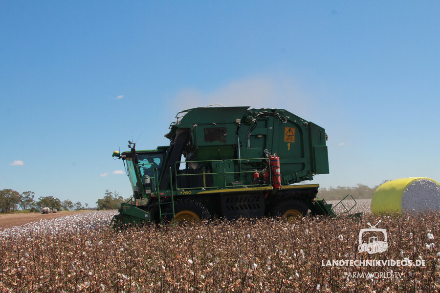 Cotton Harvest_04.jpg
